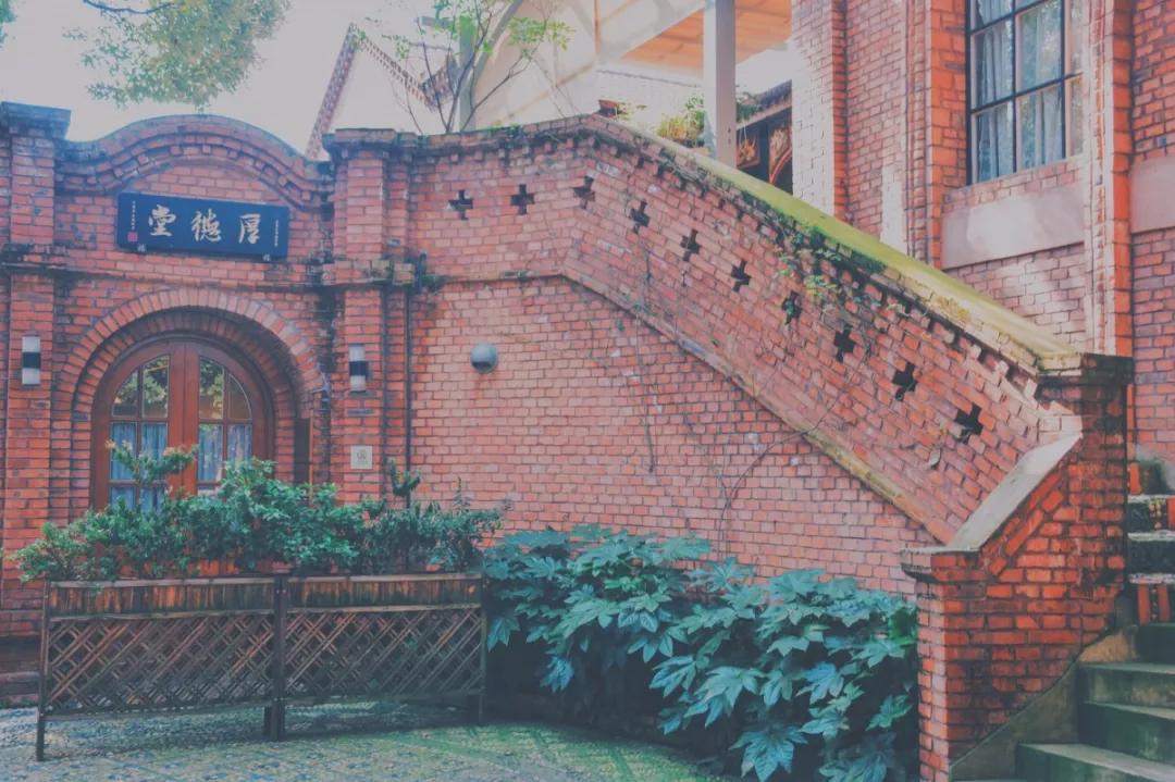 四川国际标榜学院的王牌专业,四川国际标榜职业学院网红