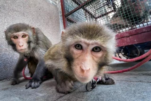 游避暑山庄的感想,游葫芦山庄有感