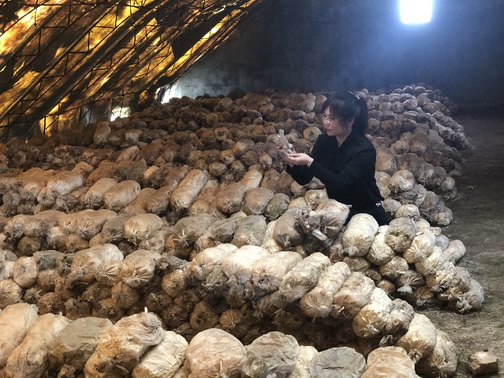 吉林榆树乡村振兴,吉林榆树农业全景