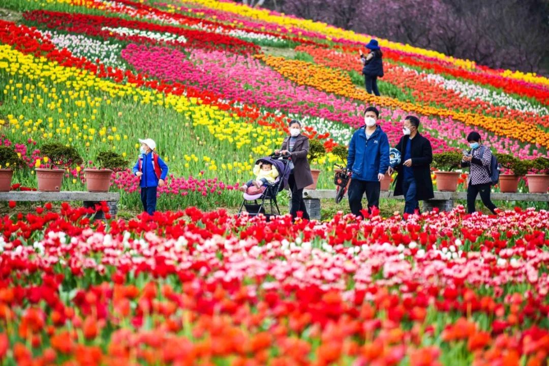 成都市秀丽东方,成都秀丽东方还在开放吗