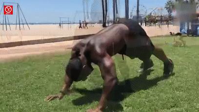 一个练肩的黄金动作,每天100个俯卧撑100个深蹲能增肌