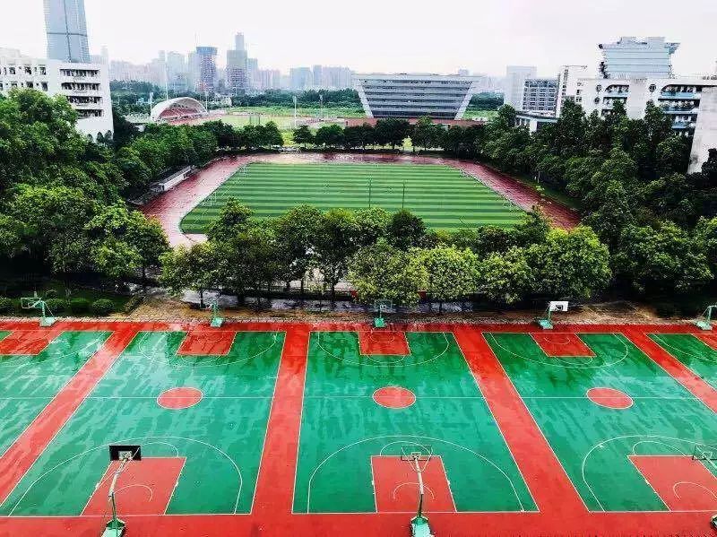 详解广东财经大学|附各专业录取分数，填报志愿必收藏