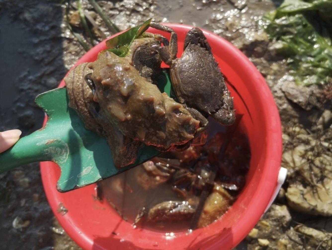 端午海岛旅游攻略,端午海岛游