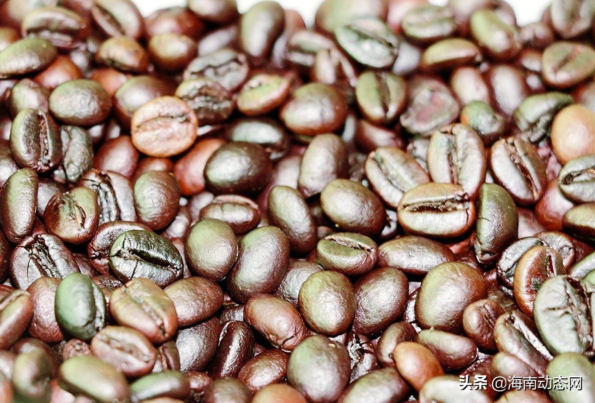 海南兴隆咖啡的特点,海南兴隆咖啡是什么咖啡豆