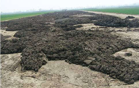 科学养猪猪粪处理,养猪猪粪沼气池处理流程