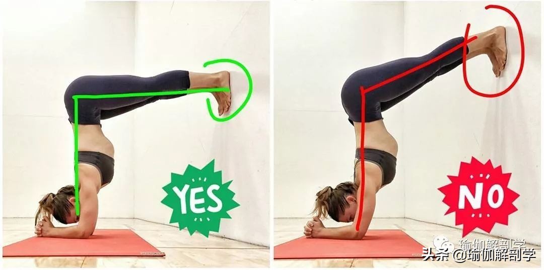 10个最新瑜伽体式正误对比图,瑜伽最容易错的正误对比图