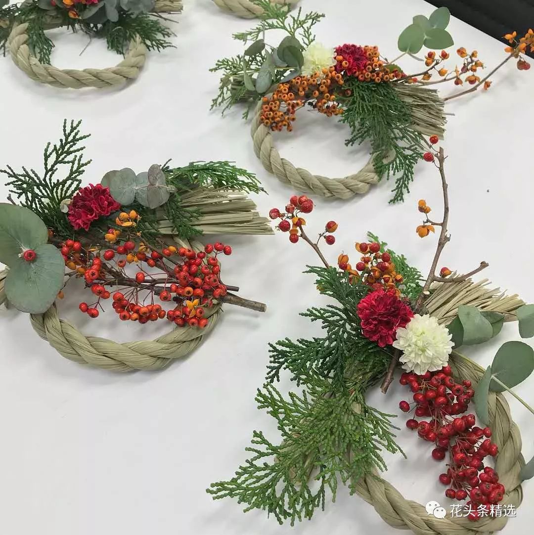 最优质的北美冬青,北美冬青性价比高的