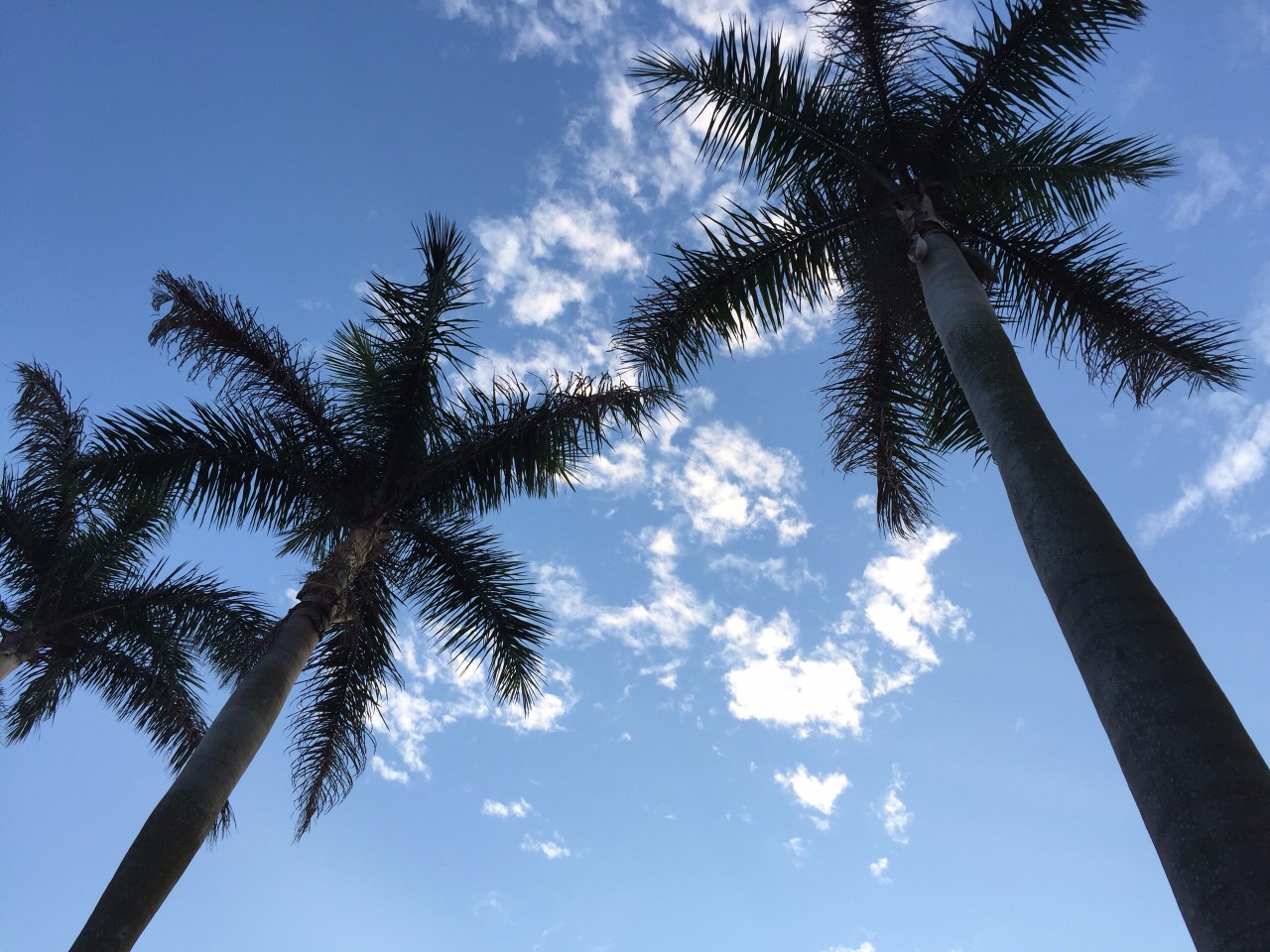 北海非法高息集资最新消息,北海非法集资案最新情况