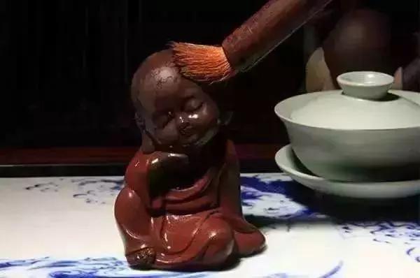 怎样茶宠越养越漂亮,怎样饲养茶宠