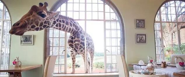 堪培拉,一座被严重低估的留学城市