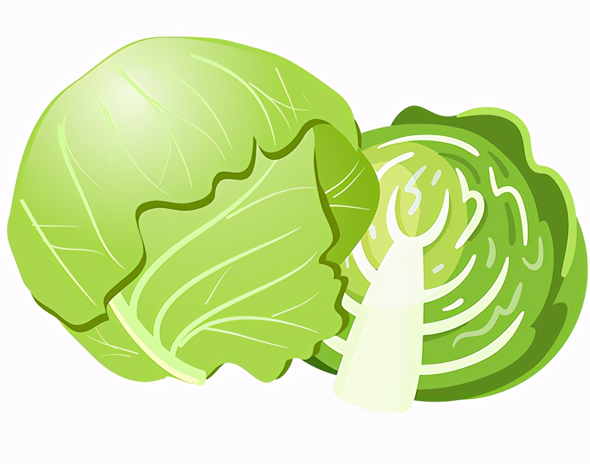 5月应季食物有什么营养价值,最应季的食材是最好的