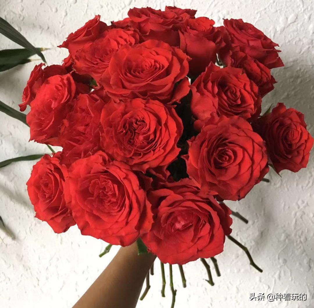 七夕礼物送什么好,七夕礼物送什么推荐