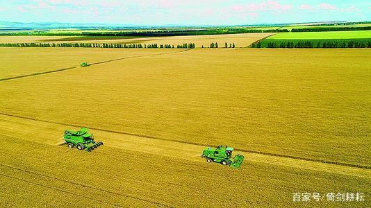 耕地面积前十名国家,中国十大耕地面积排名榜