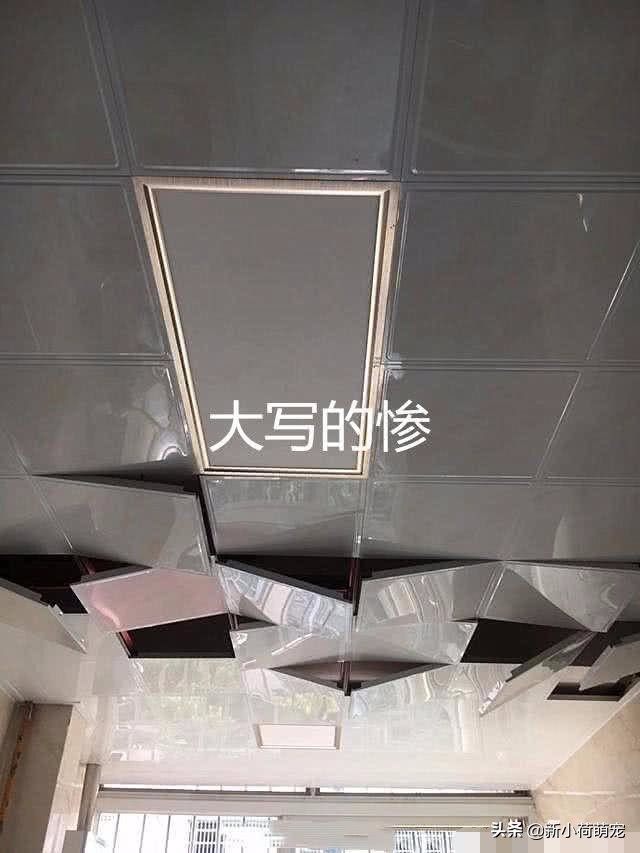 客厅天花板里有老鼠,客厅吊顶里的老鼠怎么进去的