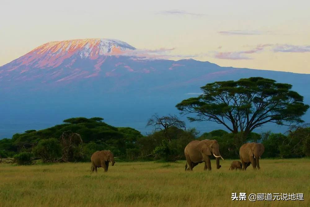 鐖变笂鍦扮悊,鎬庢牱鐖变笂钄彍