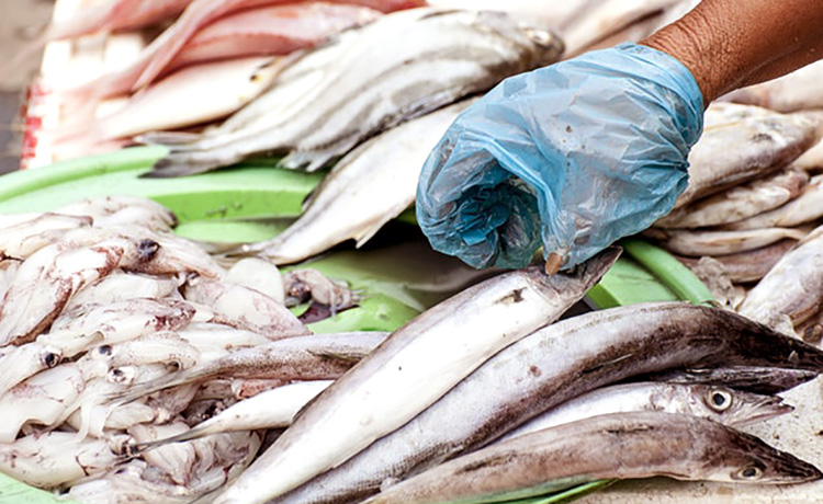 生吃三文鱼腥不腥,三文鱼怎样吃更好吃更简单