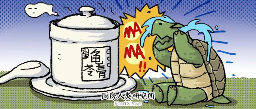 龟苓膏有龟与无龟的差别,龟苓膏居然真的是活龟熬出来的