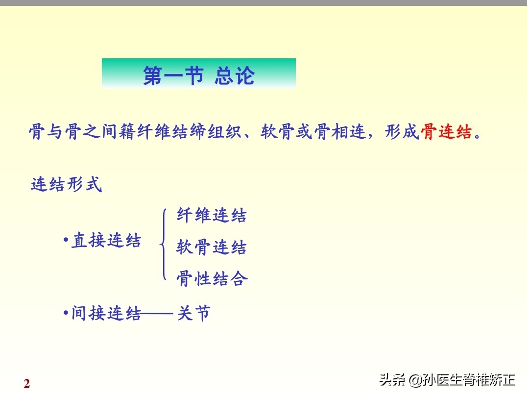 人体解剖学课件ppt,人体解剖学关节学