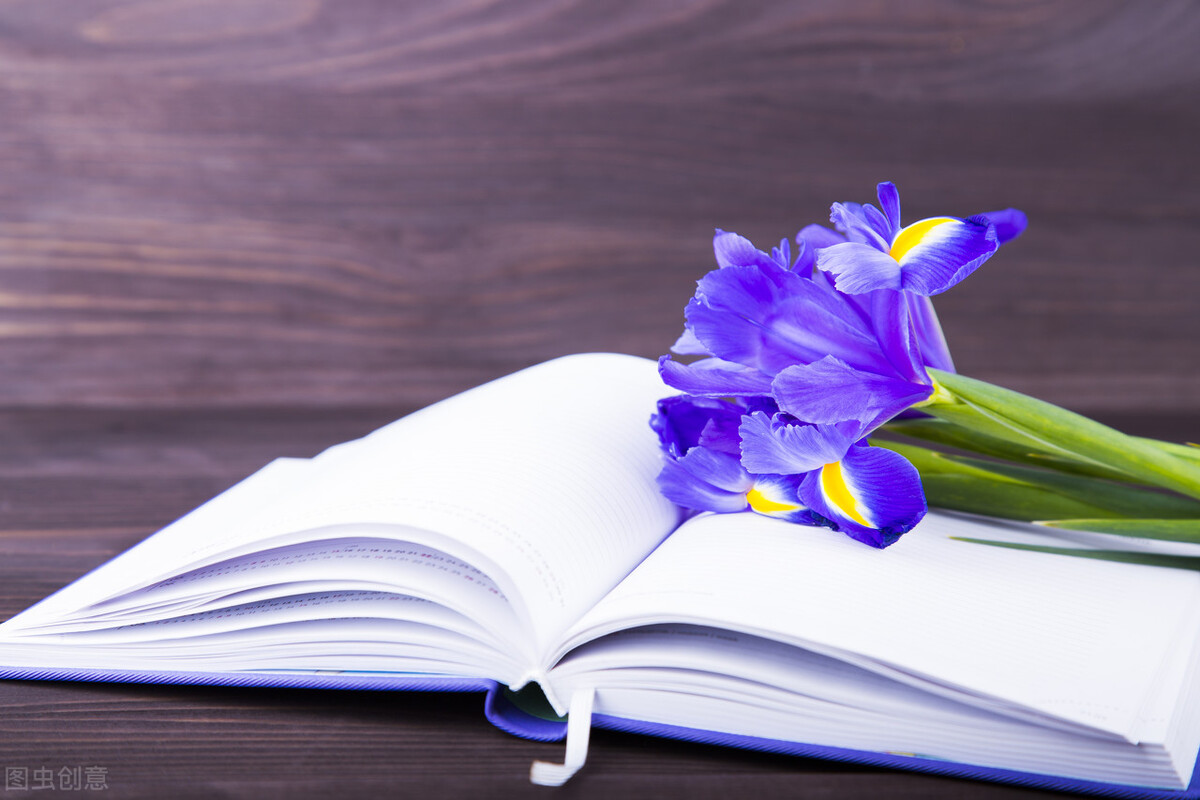 七年级下册英语仁爱版topic3单词,仁爱英语七年级下册8.2短语句型