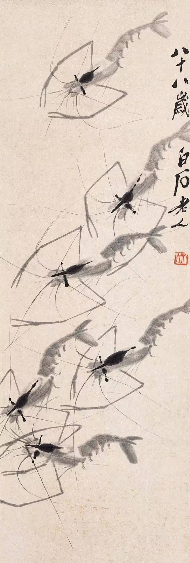 齐白石画虾换真虾,齐白石画虾的6只虾