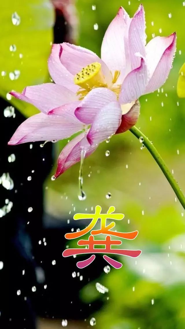 珠宝翡翠艺术字体,翡翠字体图片欣赏