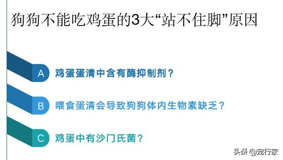 狗可以吃鸡蛋吗为什么,狗吃蛋壳