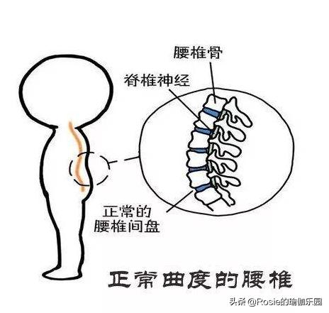 久坐背厚,久坐导致屁股大腿胖怎么办