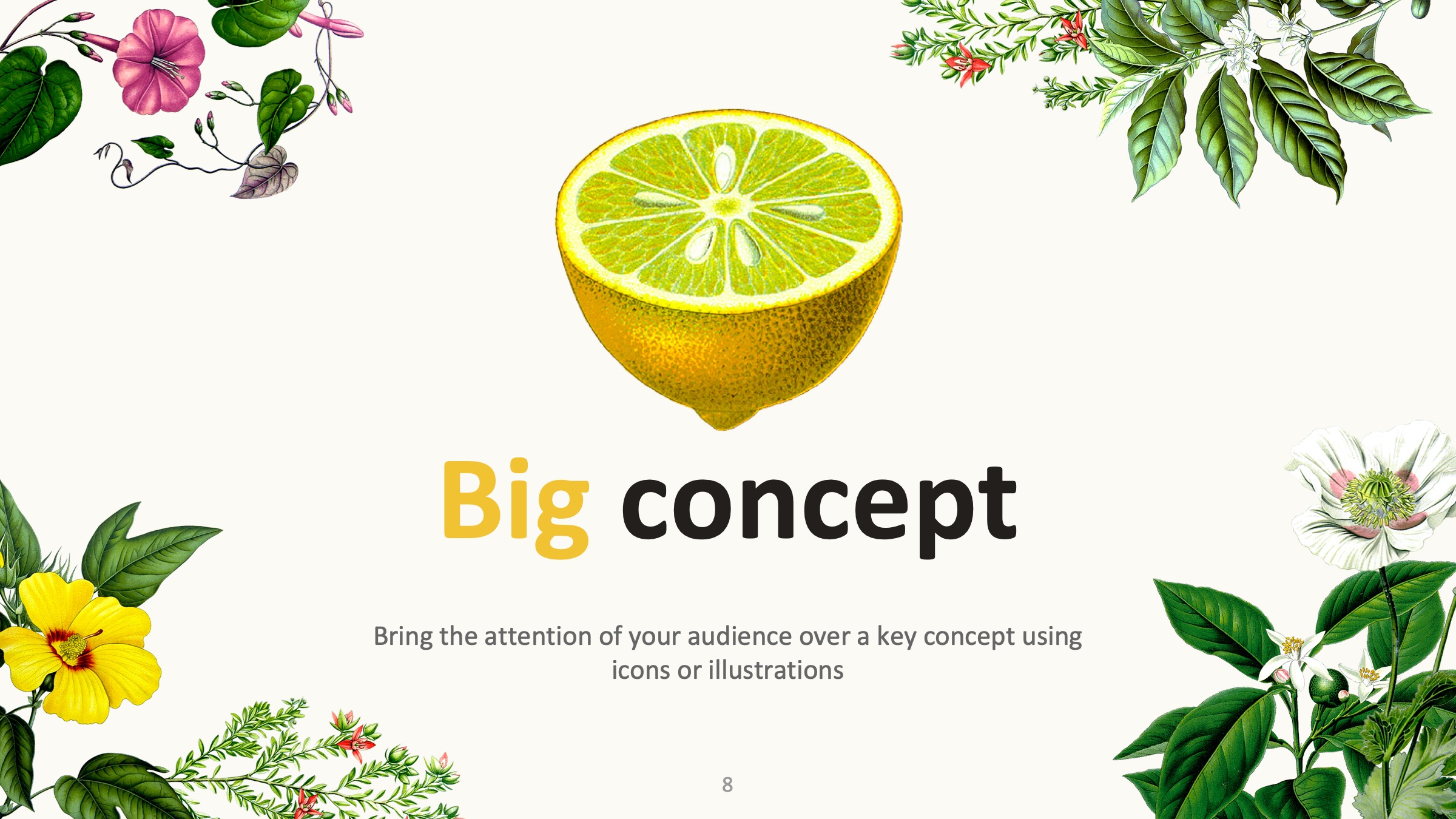 PPT植物插图模板——可免费*载下**，一键替换文字