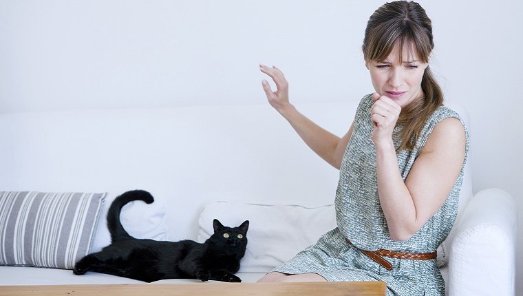 对猫毛过敏？其实并不是！猫过敏的解决方法