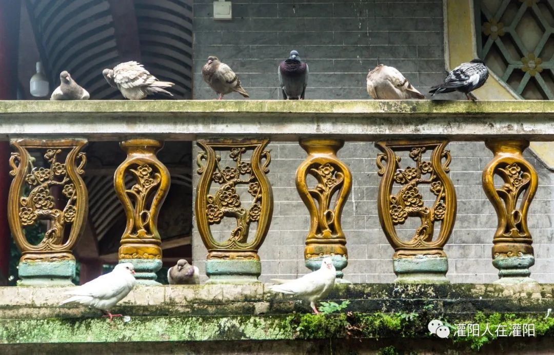 广西桂林灌阳县旅游,灌阳人在柳州