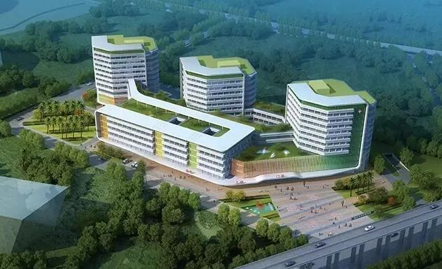 奥体板块核心位置,奥体板块住宅市场分析