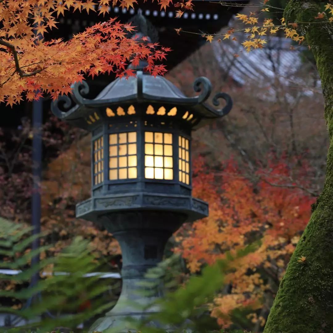 停车坐爱枫林晚，感受火红的秋