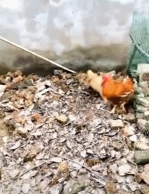 第一次人机大战电影,第一次人机战争