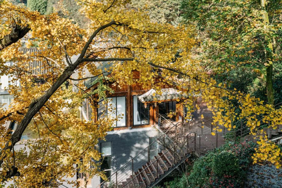 成都出发1.5h，藏在青城后山网红轻奢度假民宿，丨桐去隐泉