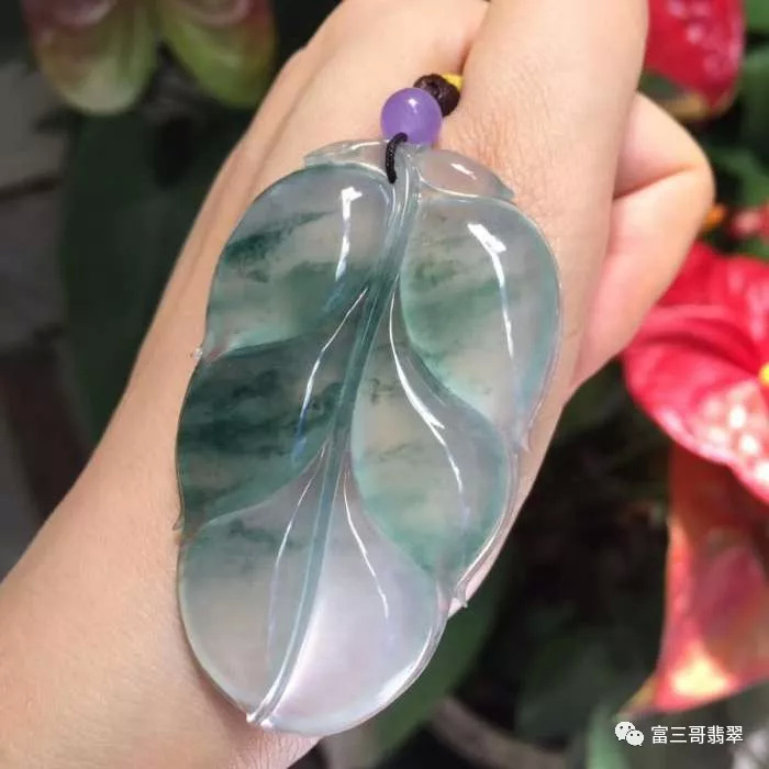 你分得清月季和玫瑰吗,你分得清绿茶吗