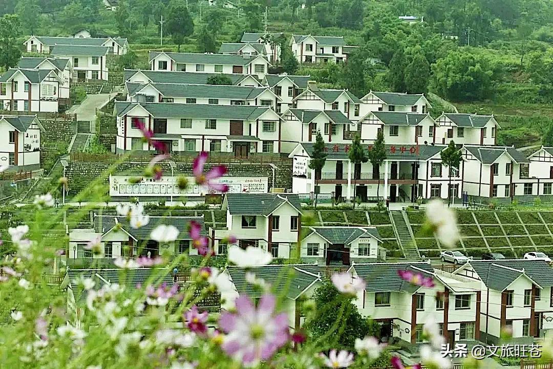 今年春节，留在旺苍过年吧！此心安处是吾乡