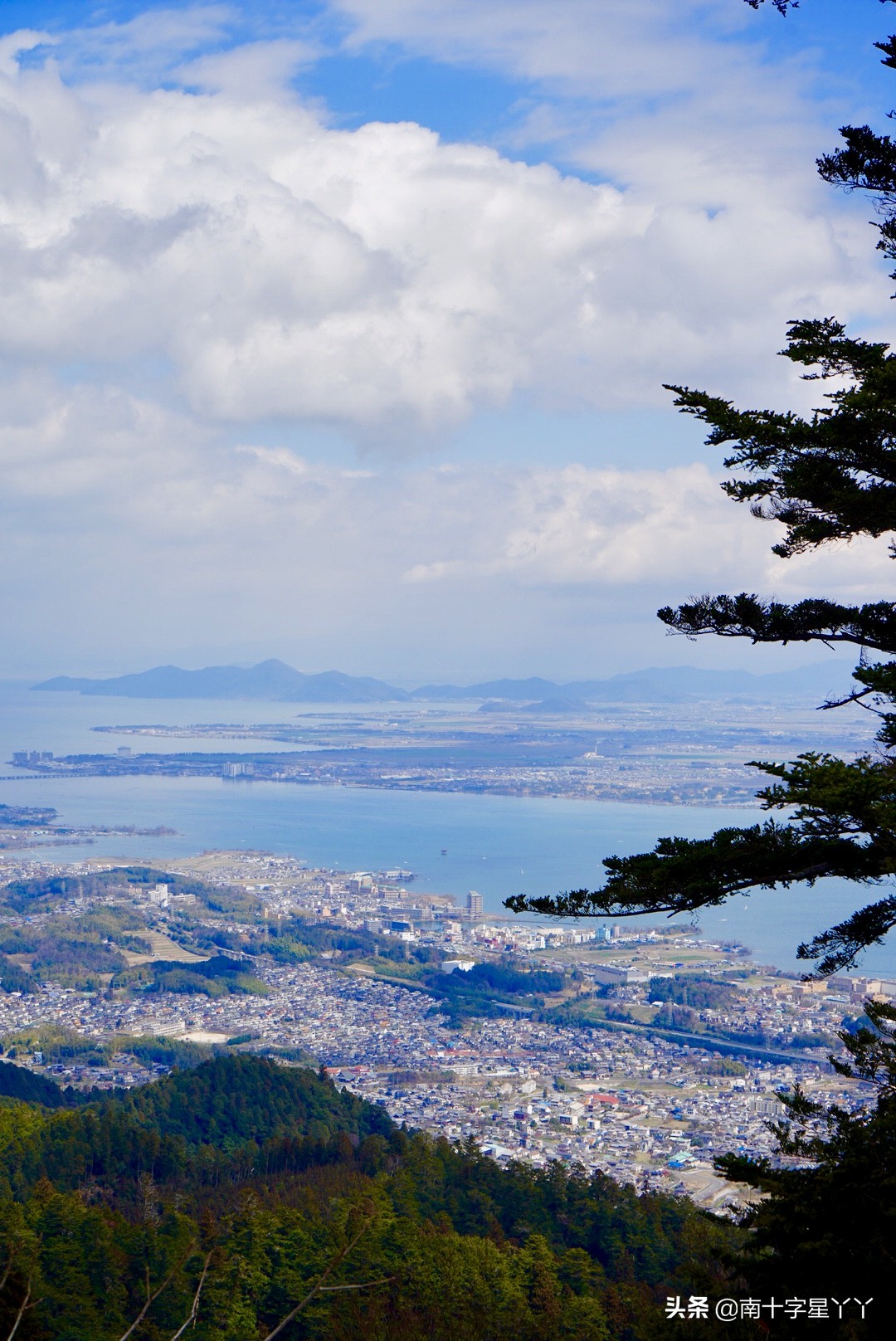 2019日本赏樱最新攻略|大津小众路线私家推荐