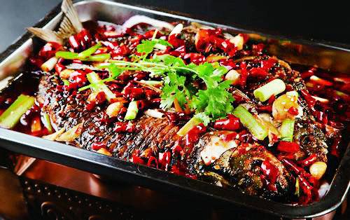 诸葛烤鱼加盟,诸葛烤鱼的加盟联系方式