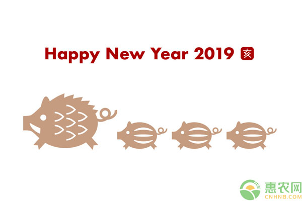 19年猪年时间跨度,2019年猪年和2020年鼠年