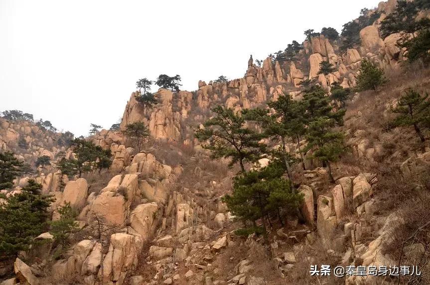 秦皇岛达润时代逸城解封时间,秦皇岛各区解封没有