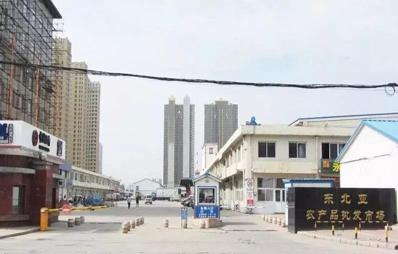 中国蔬菜批发市场大全,邓州菜农蔬菜批发市场在哪里