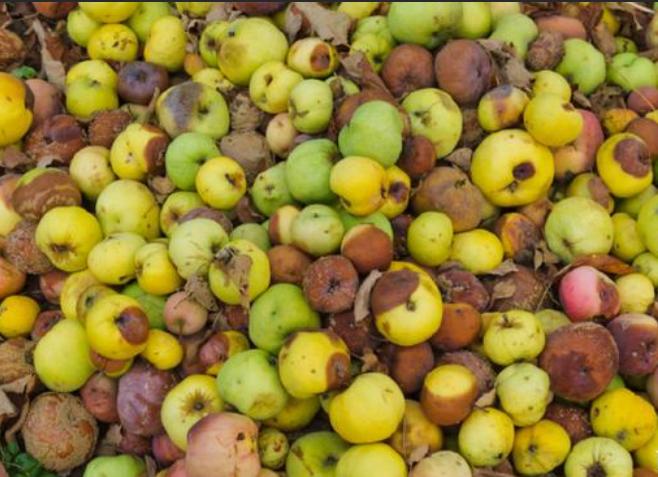 餐饮店鲜榨果汁配方大全集,餐饮店的果汁怎么榨好喝点