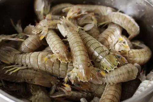 开海特价海鲜,开海的海鲜视频