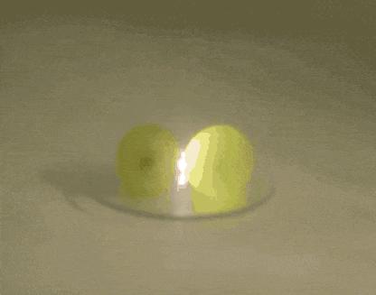 把葡萄放进微波炉爆炸实验,把两个葡萄放进微波炉