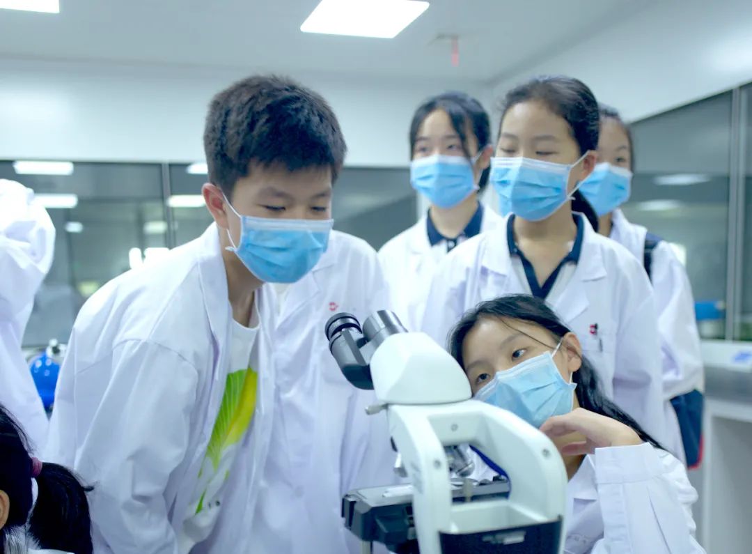 青竹湖湘一外国语学校一校两址,青竹湖湘一外国语学校分校