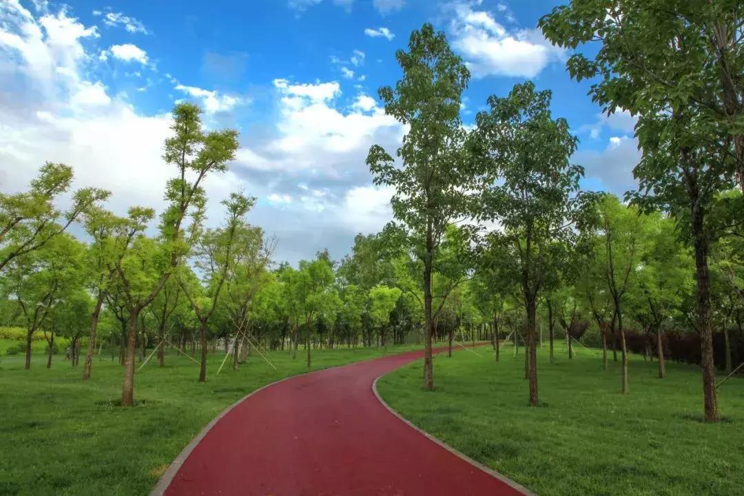 碧桂园·星荟——城芯优雅人居，星奢美学生活