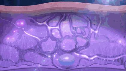 古力娜扎大额头妆容,古力娜扎万圣节