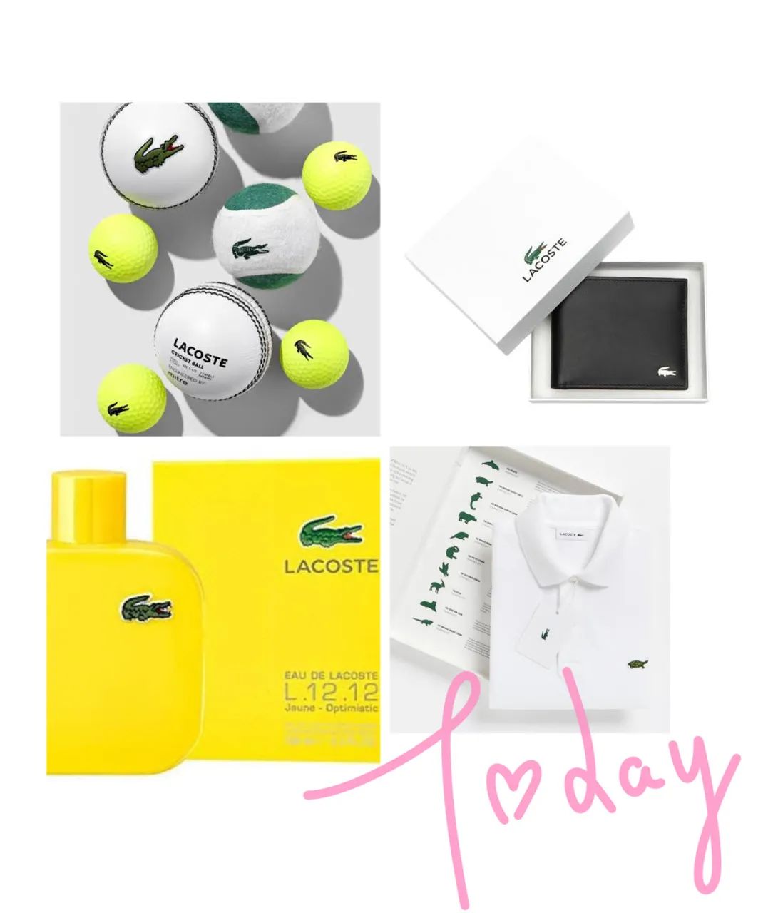 lacoste鳄鱼属于什么级别,lacoste鳄鱼是什么意思