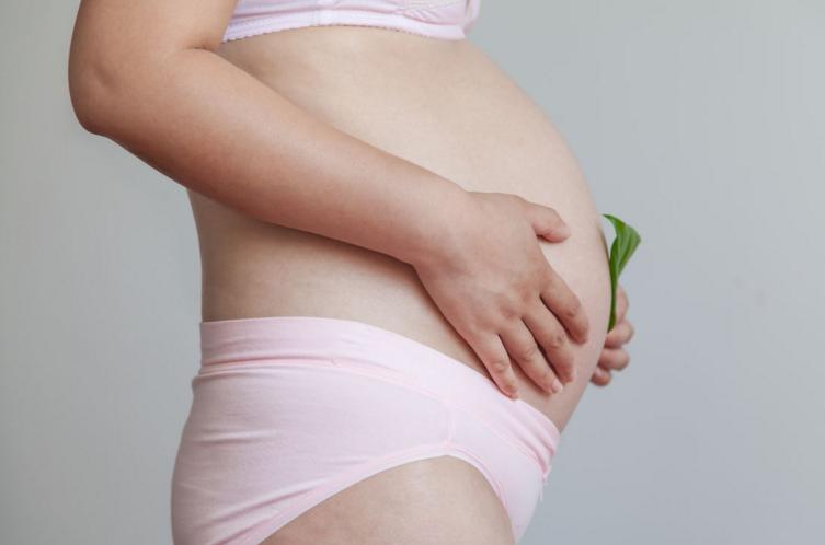 孕期营养素吃什么牌子 (孕期必备的营养素补充知识)