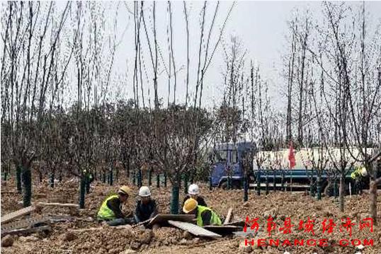 焦作市健康主题公园,焦作市沙河体育健身公园